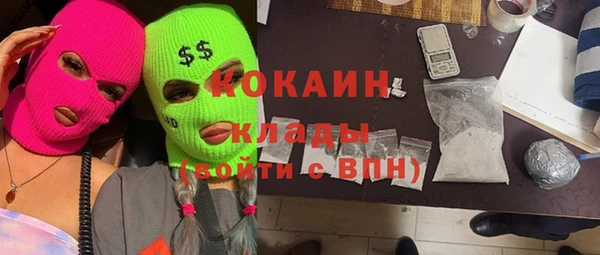 твердый Верея