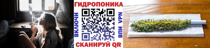 Купить закладки  Гдов  Бошки Шишки ГИДРОПОН 